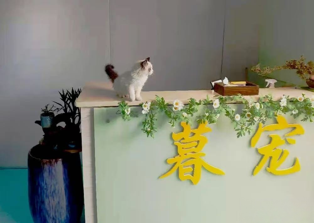 香洲暮宠宠物火化殡葬善终服务中心